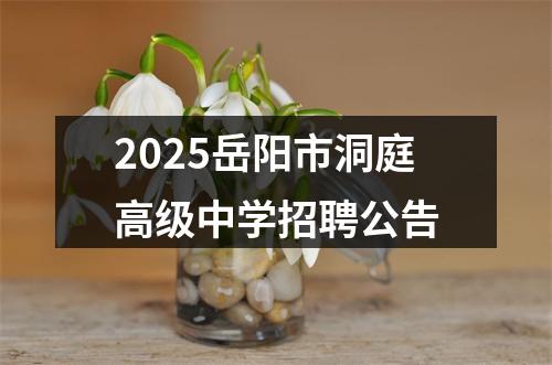 2025岳阳市洞庭高级中学招聘公告 图片