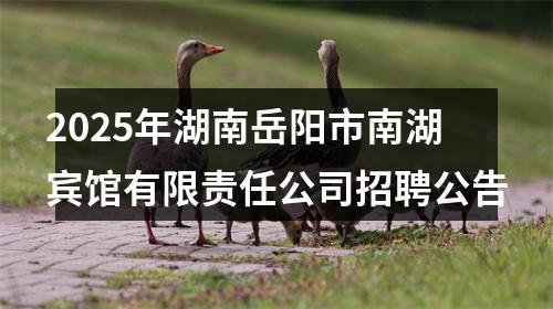 2025年湖南岳阳市南湖宾馆有限责任公司招聘公告 图片