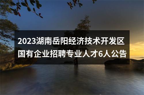 2023湖南岳阳经济技术开发区国有企业招聘专业人才6人公告 图片