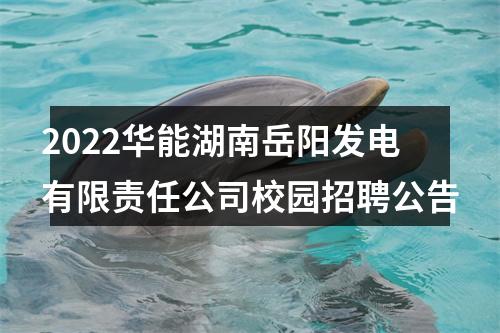 2022华能湖南岳阳发电有限责任公司校园招聘公告 图片