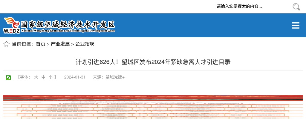 2024湖南长沙望城区紧缺急需人才引进目录（626人） 图片